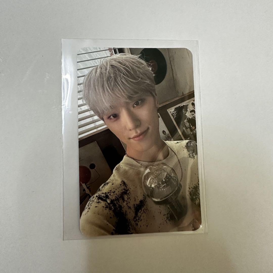 Amazon.co.jp: SEVENTEEN carat zone カラットゾーン ディノ